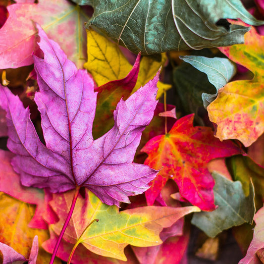 How To Transition Your Wardrobe From Summer To Autumn