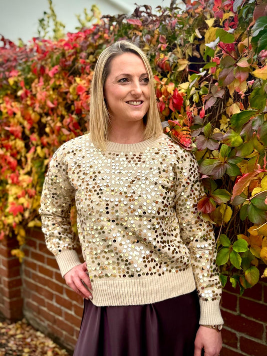 Beatrice Sequin Embellished Jumper - Beige, Burgundy or Chocolate Brown