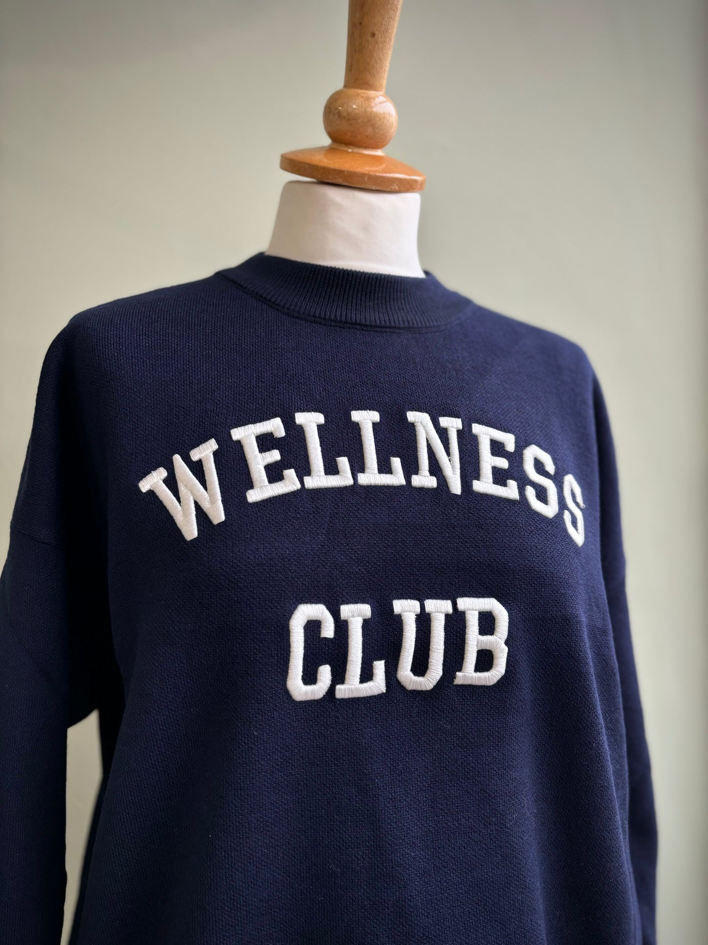 Wellness Club Varsity Style Embroidered Logo Jumper - Navy