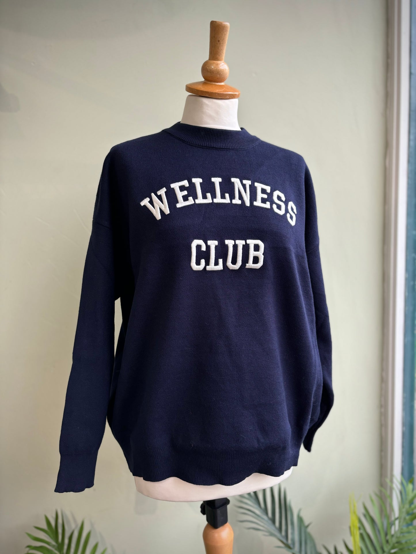 Wellness Club Varsity Style Embroidered Logo Jumper - Navy